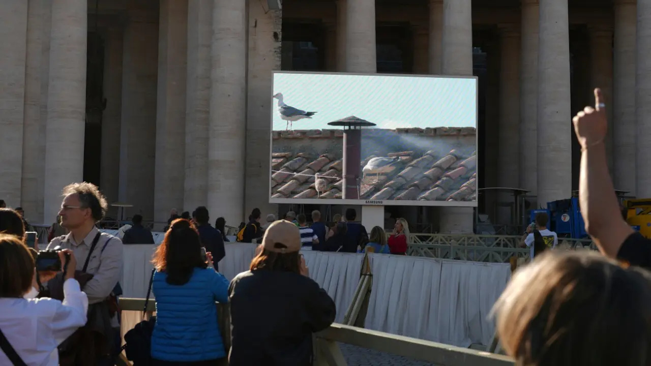 Even as spectators watch the ceremonial smoke on a screen one of the seabirds lingers in sight