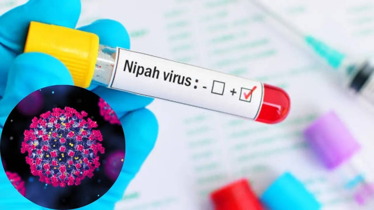 Kerala Confirms Case of Nipah Virus As Woman Tests Positive, All About This Zoonotic Infection Kerala Confirms Case of Nipah Virus As Woman Tests Positive, All About This Zoonotic Infection